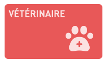 veterinaire